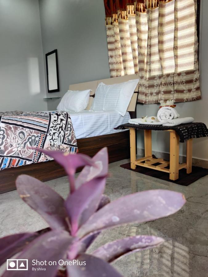 Lee Homestay Hampi Extérieur photo