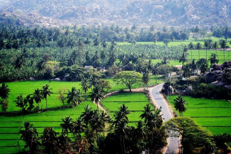 Lee Homestay Hampi Extérieur photo